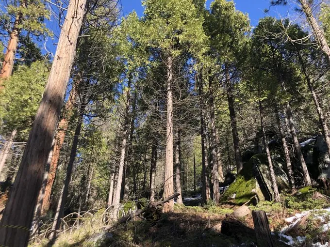 Hartland, Tulare County, CA Undeveloped Land, Homesites for sale Property ID: 415676161