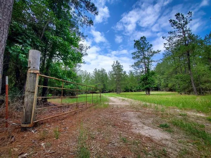NA N Farm Road 350 Off, Livingston, TX 77351 for Sale