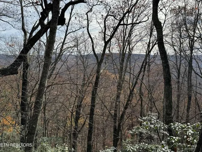 Cumberland Cove Rd, Monterey, TN 38574  608487286 for Sale