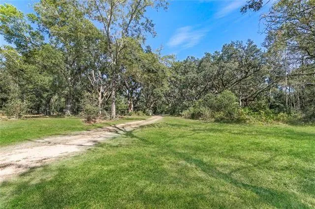 Bush, Saint Tammany Parish, LA Undeveloped Land, Homesites for sale Property ID: 417698647