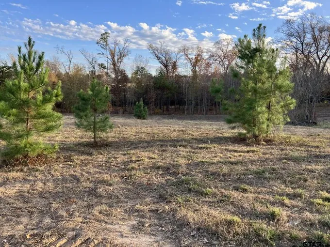 16730 Ridgeline Loop, Winona, TX 75792 for Sale