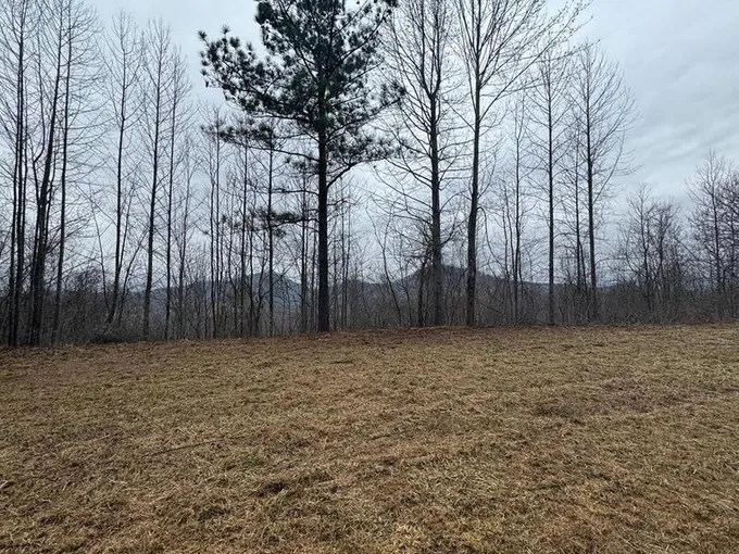Lot 10 Chatuge Manor Road, Young Harris, GA 30582 for Sale