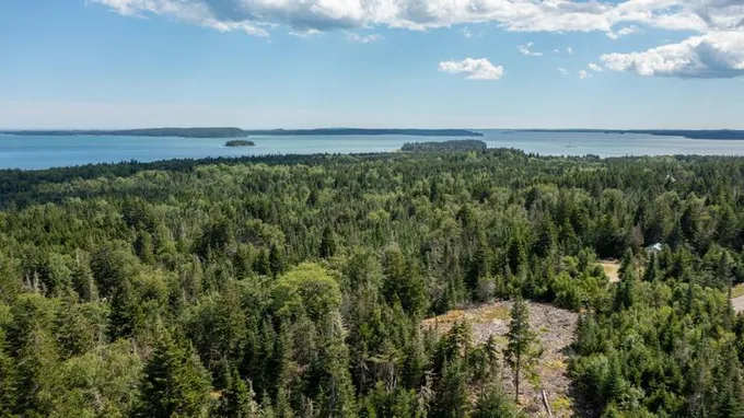 0 Nepp Point Road, Unit 63E, Roque Bluffs, ME 04654 for Sale