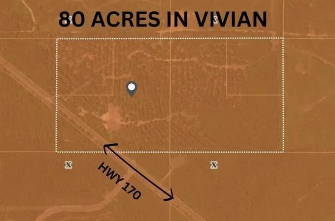 Vivian, Caddo Parish, LA Undeveloped Land for sale Property ID: 416506316