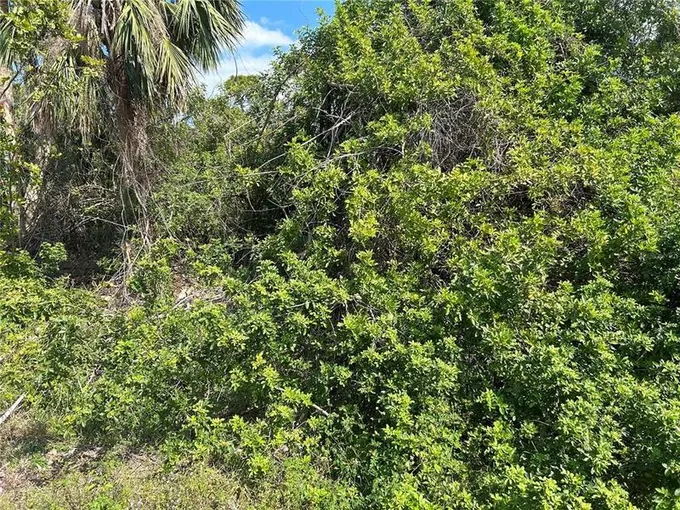 1620 Birchcrest Boulevard, Port Charlotte, FL 33952 for Sale