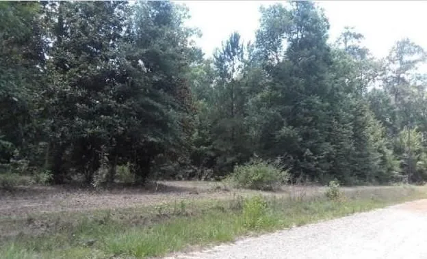 0 Stonehenge Dr, Woodville, TX 75979 - MLS 29425469 for Sale