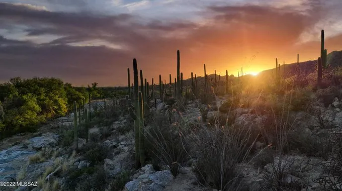 14770 Redington Rd, Tucson, AZ 85749 - MLS 22311922 for Sale