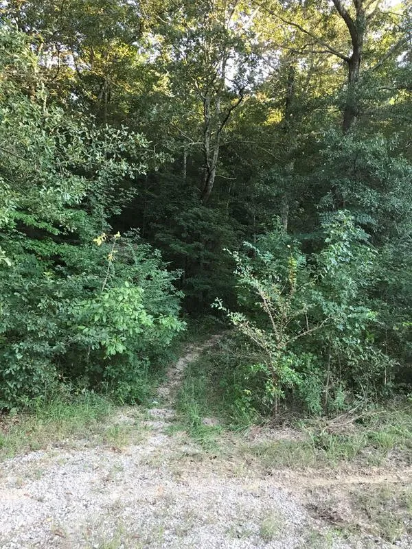 Moulton, Lawrence County, AL Undeveloped Land, Homesites for sale Property ID: 339093582