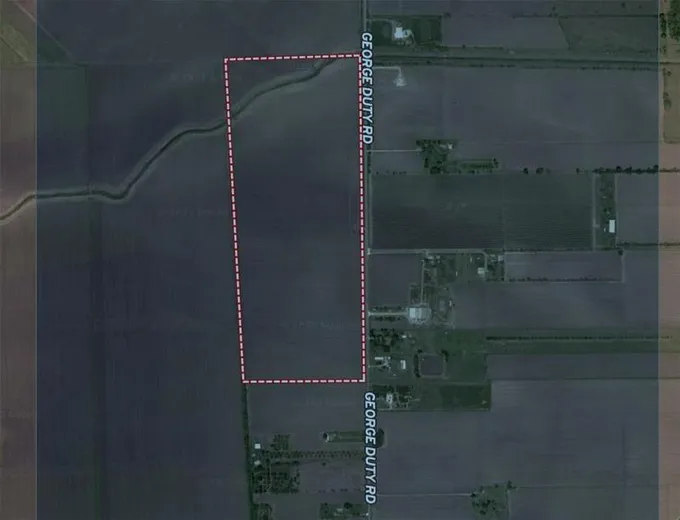 0 George Duty Rd, Damon, TX 77430 for Sale