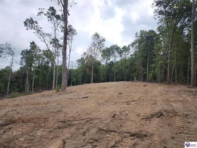 Lot 0 Leitchfield Road, Cecilia, KY 42724  603469268 for Sale