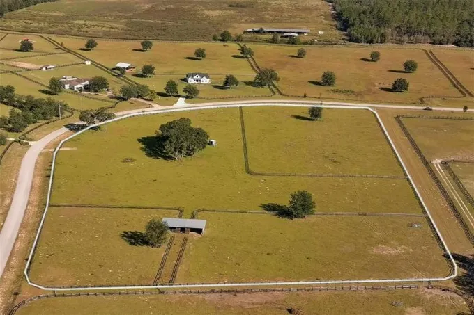 Williston, Levy County, FL Undeveloped Land for sale Property ID: 418231068