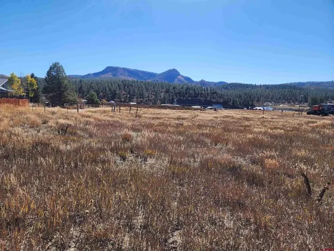 62 Cactus Drive, Pagosa Springs, CO 81147 for Sale