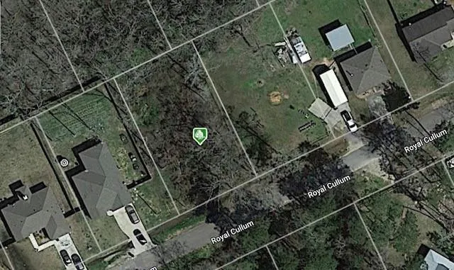 000 ROYAL CULLUM DRIVE, Conroe, TX 77303 Land For Sale  MLS# 13524739