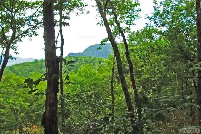 Highlands, Jackson County, NC Undeveloped Land, Homesites for sale Property ID: 415813287