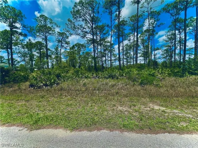 1015 Euclid Avenue, Lehigh Acres, FL 33972 for Sale