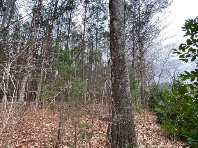 0 S Owen, Littleton, NC 27850 - MLS 2436336 for Sale