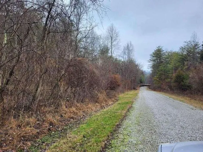 565 Bucktail Drive, Burnside, KY 42519  613056646 for Sale
