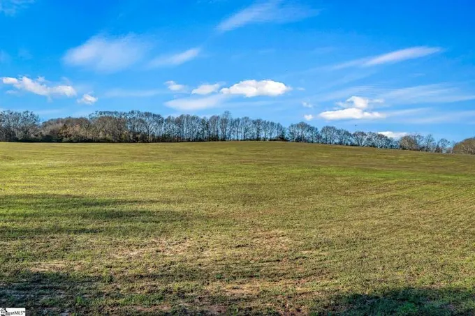 3928 OLD DOBBINS BRIDGE RD, Fair Play, SC 29643 Land For Sale  MLS# 1517766