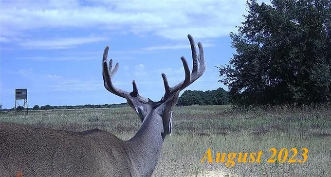 Rising Star, Eastland County, TX Farms and Ranches for sale Property ID: 417827530