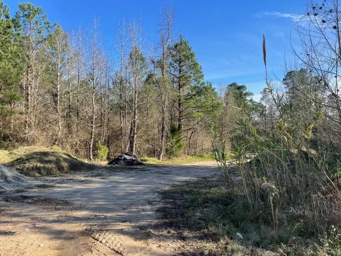 Harleyville, Dorchester County, SC Undeveloped Land for sale Property ID: 418426687
