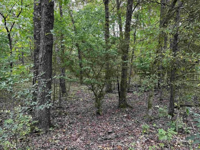 Horseshoe Bend, Izard County, AR Undeveloped Land, Homesites for sale Property ID: 417857315