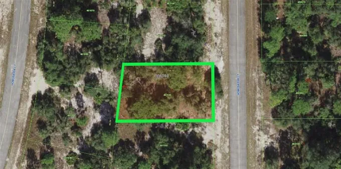 1310 Homosassa Court, Poinciana, FL 34759 for Sale