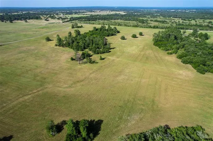 TBD County Road 228, Bedias, TX 77831 for Sale
