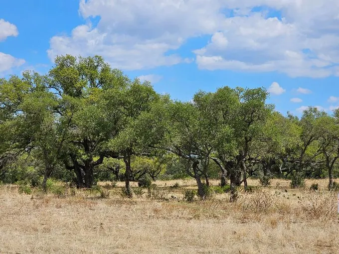 San Saba, San Saba County, TX Undeveloped Land for sale Property ID: 418167443