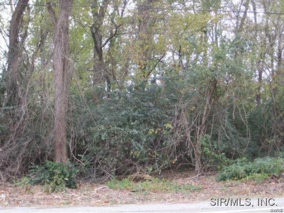 2804 South Belt West S Belleville Il 62223 South, Belleville, IL 62226 for Sale