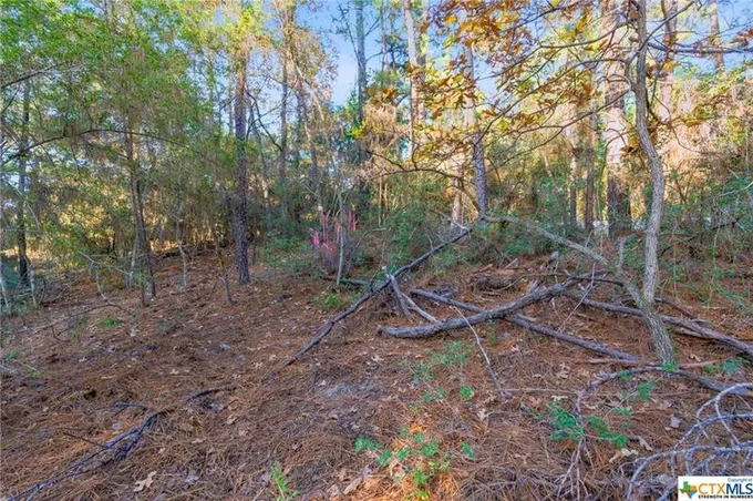TBD Hekili Drive, Bastrop, TX 78602 for Sale