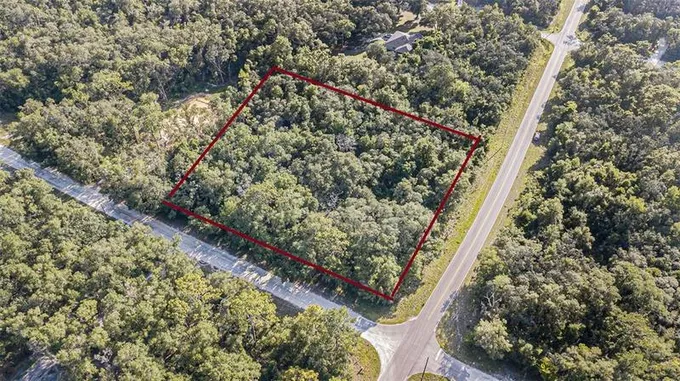 0 Richardson Boulevard, Webster, FL 33597 for Sale
