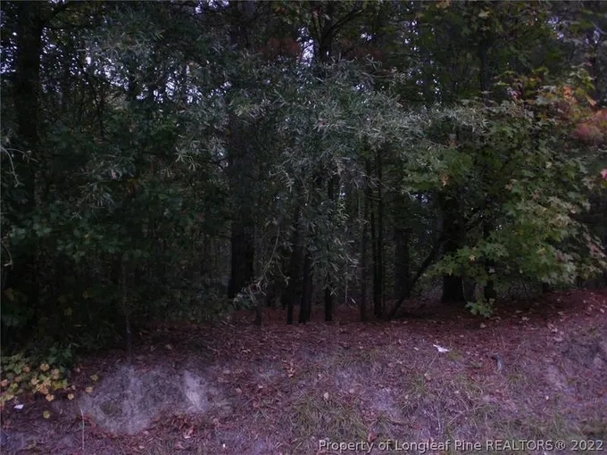 8 Pine State Street, Lillington, NC 27546 for Sale