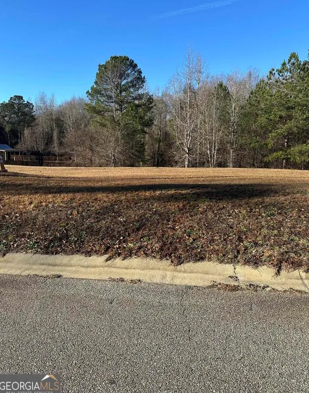221 Olde Hickory Cir, Bonaire, GA 31005 - MLS 20169064 for Sale