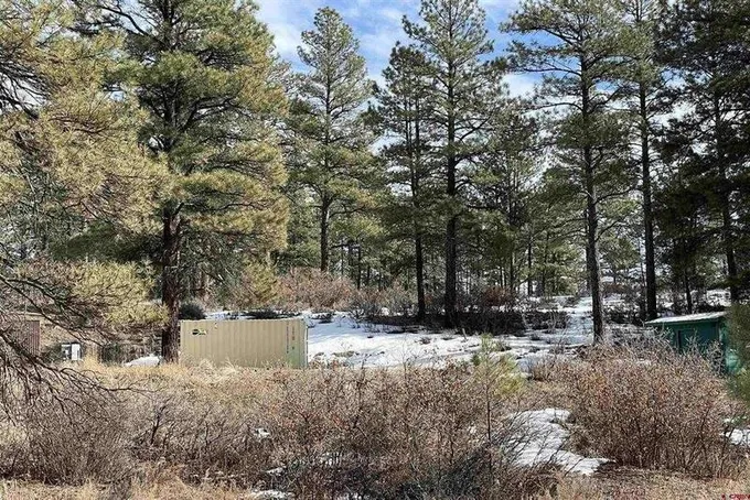 201 Spruce Circle, Pagosa Springs, CO 81147  624409852 for Sale