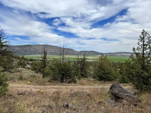 Dorris, Siskiyou County, CA Undeveloped Land, Homesites for sale Property ID: 418065586