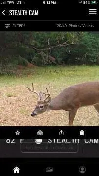 TBD FCR 290, Oakwood, TX 75855 for Sale