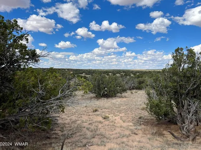 None G-Bar Ranch Unit #1, Saint Johns, AZ 85936 - MLS 249277 for Sale