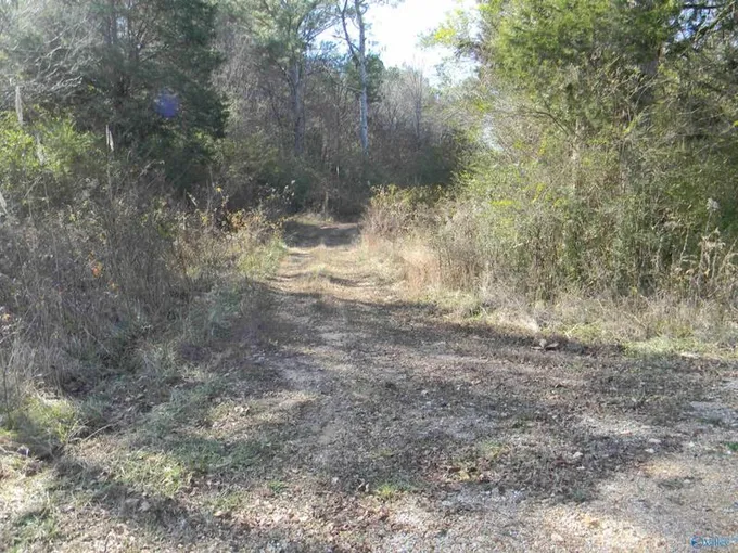 TRACT # 5 COUNTY ROAD 143, Gaylesville, AL 35973 Land For Sale  MLS# 21849897