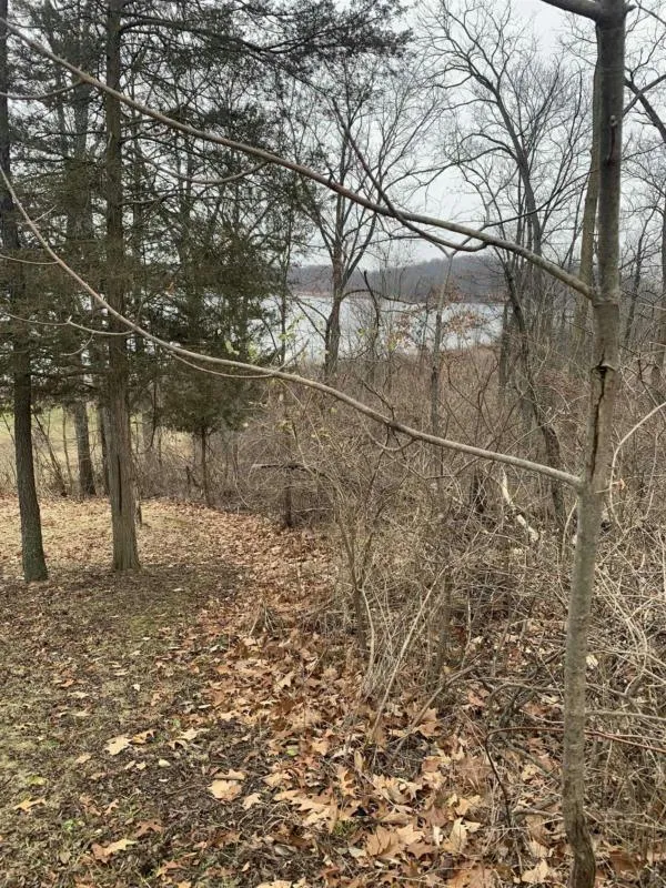 0 RIDGE, Manchester, MI 48158 Land For Sale  MLS# 50130274