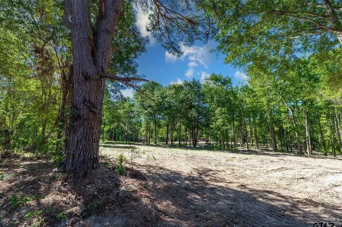 3136 N Fm 346 Lot 5, Bullard, TX 75757 - MLS 24001744 for Sale
