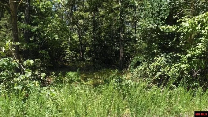 Elizabeth, Baxter County, AR Undeveloped Land, Homesites for sale Property ID: 416821316