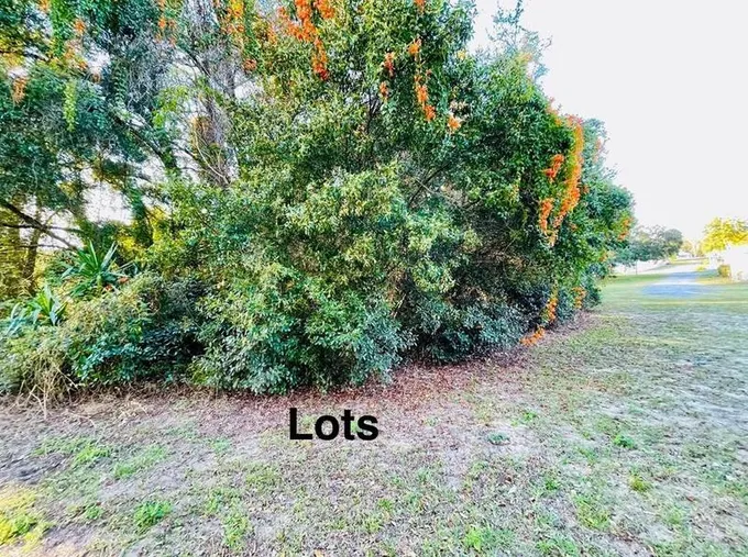 Portland St, Eustis, FL 32726 - MLS O6176230 for Sale