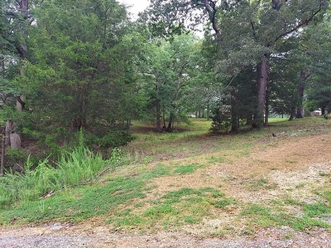 Springville, Henry County, TN Homesites for sale Property ID: 417407666
