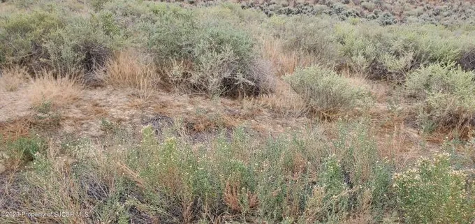 La Plata, San Juan County, NM Undeveloped Land, Homesites for sale Property ID: 418198179