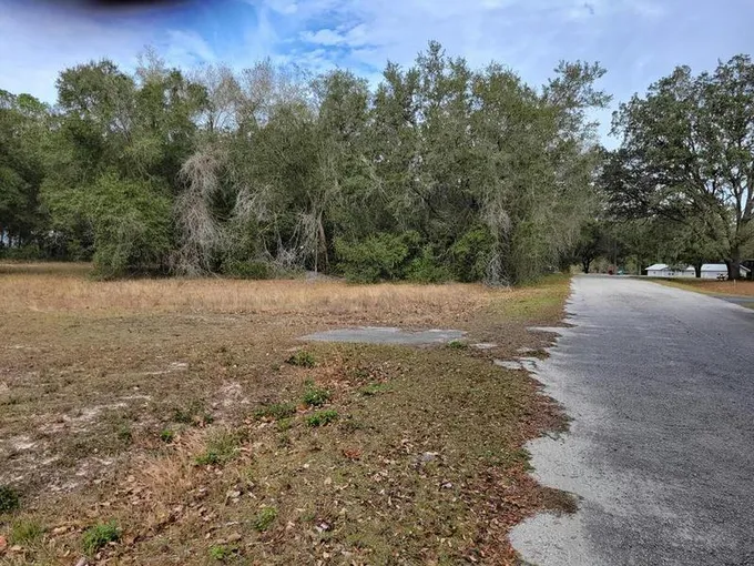 000 SE 161ST CT, Ocklawaha, FL 32179 Land For Sale  MLS# 789919