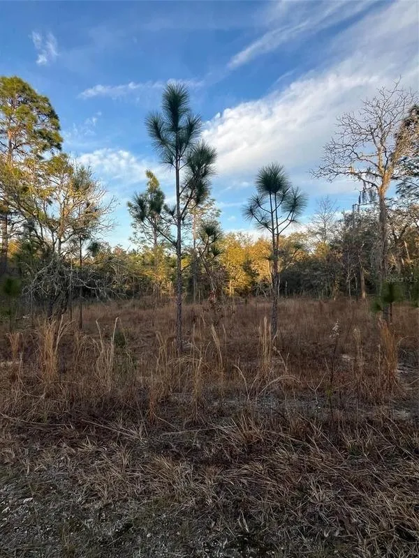 Williston, Levy County, FL Undeveloped Land, Homesites for sale Property ID: 418876299