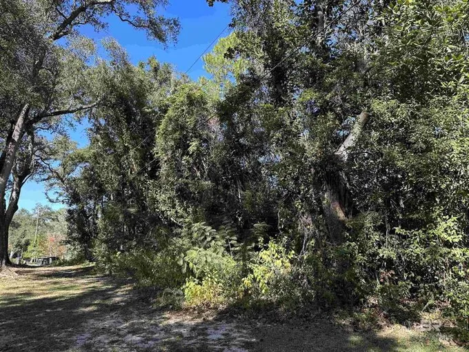 Magnolia Springs, Baldwin County, AL Undeveloped Land, Homesites for sale Property ID: 418160467
