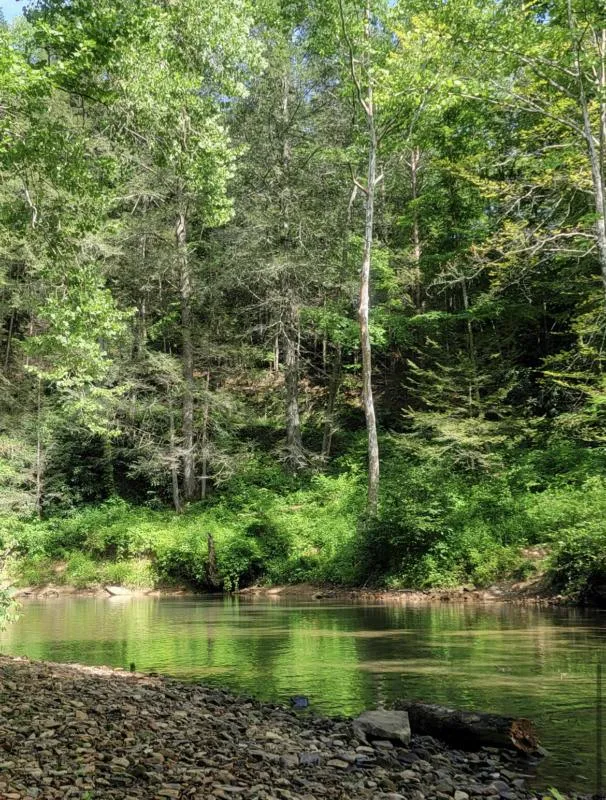 0 RAfish CREEK, Mc Kee, KY 40447 Land For Sale  MLS# 24001746
