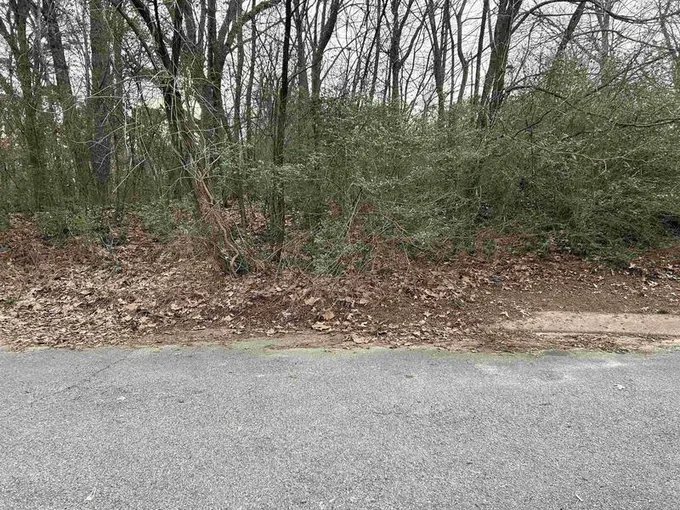 115 Greenvalley, Jackson, TN 38305  623931340 for Sale