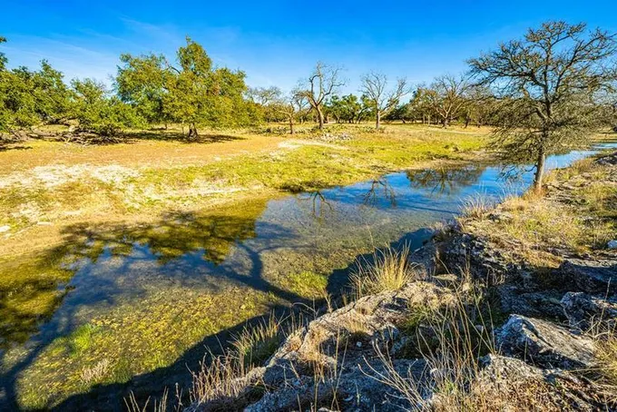 O SW TIVYDALE RD, Harper, TX 78631 Farm For Sale  MLS# 113963